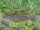 image of grave number 947788